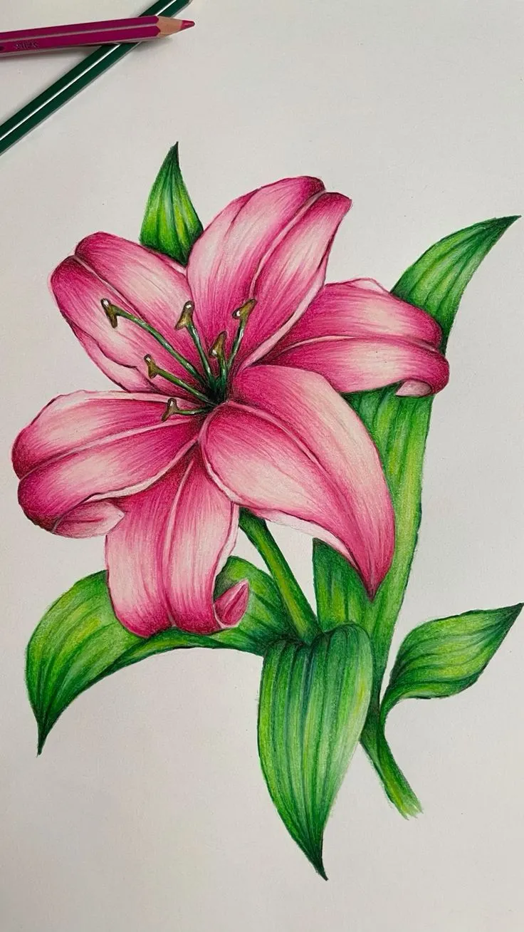 flower-drawing-images-1 Flower Drawing Images