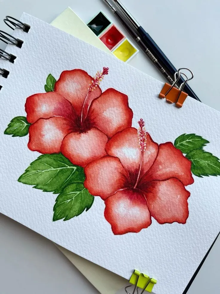 flower-drawing-images-8 Flower Drawing Images