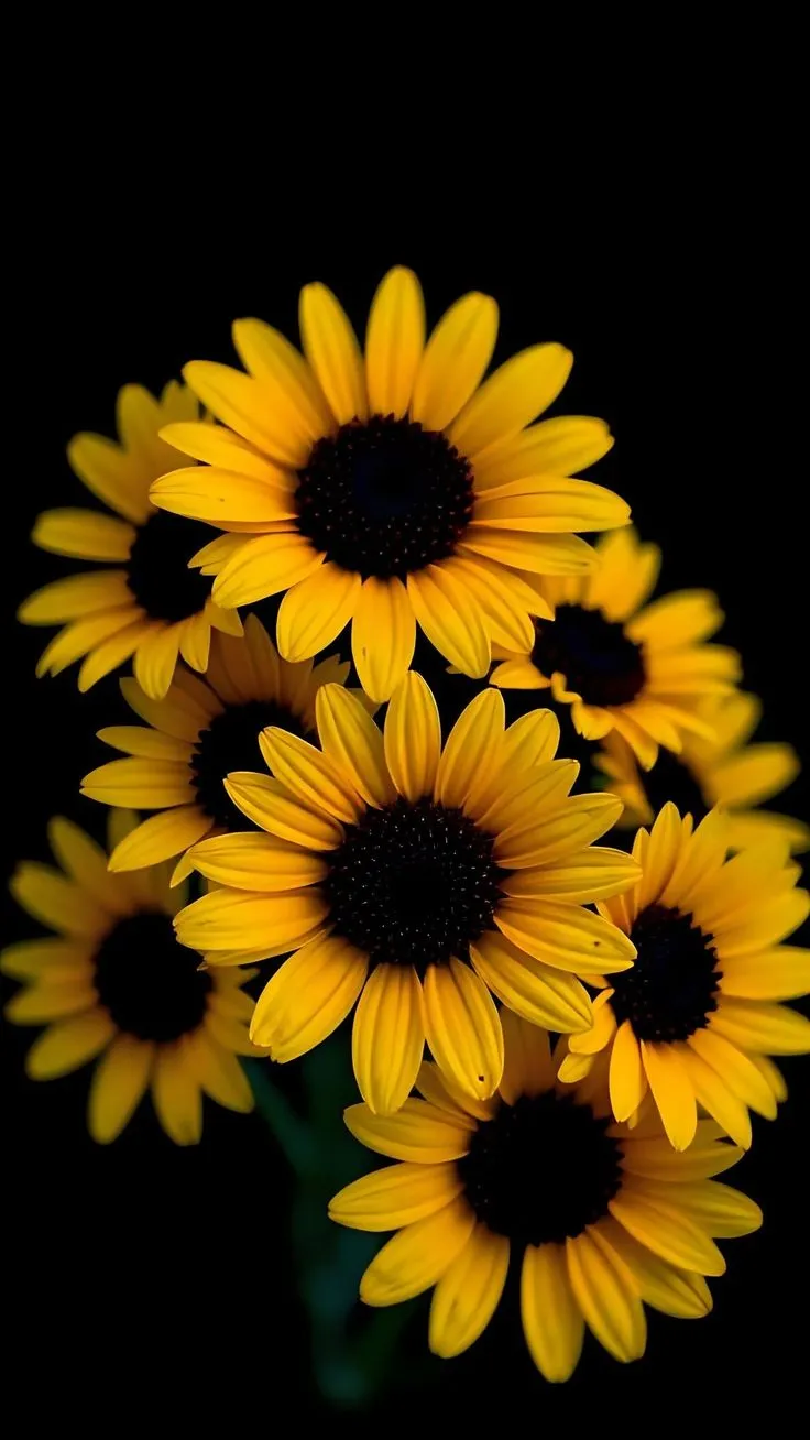 flower-images-for-dp-7 Flower Images For Dp