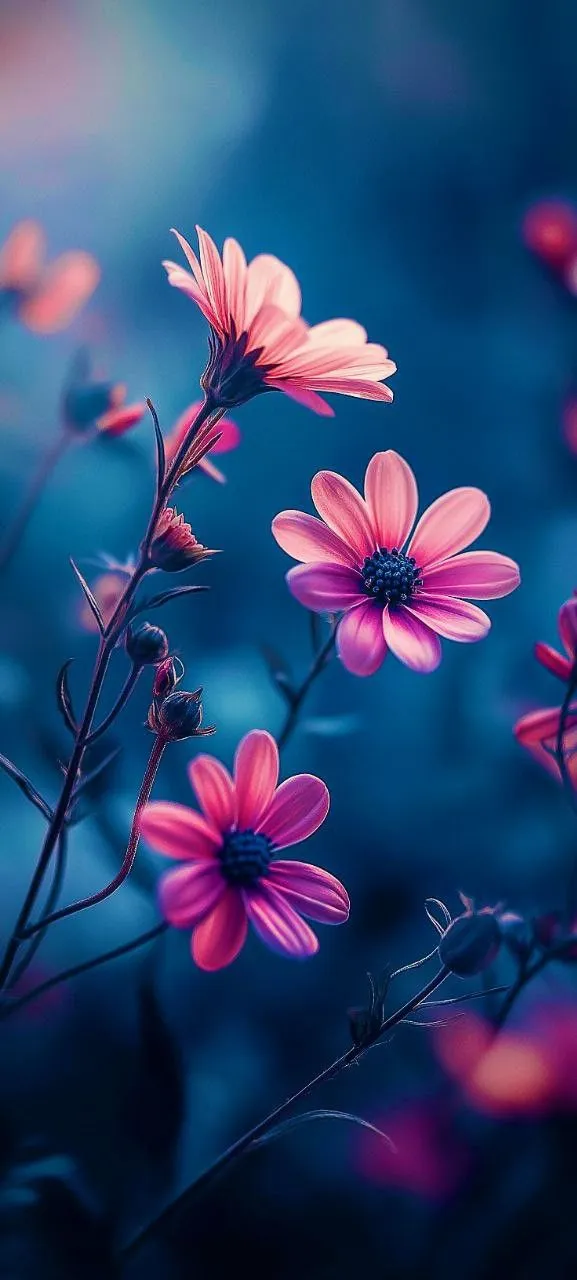 flower-whatsapp-dp-3 Flower Whatsapp Dp