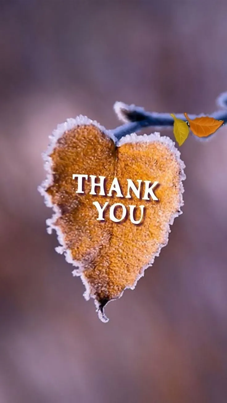 thank-you-pictures-1 Thank You Pictures
